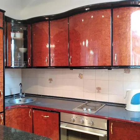 Lejlighed Spacious Flat At Center *